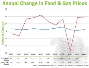Annual Change in Food and Gas Prices