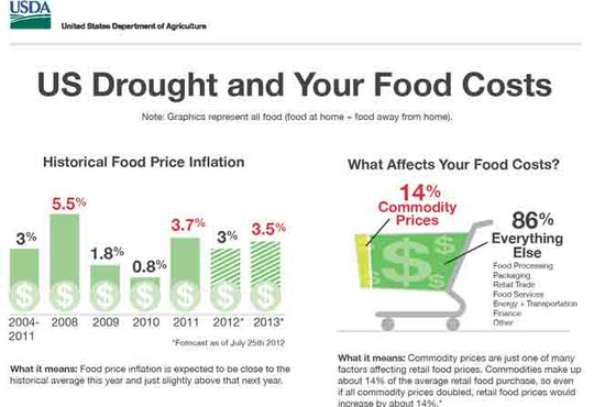 Food Prices - USDA Infographic
