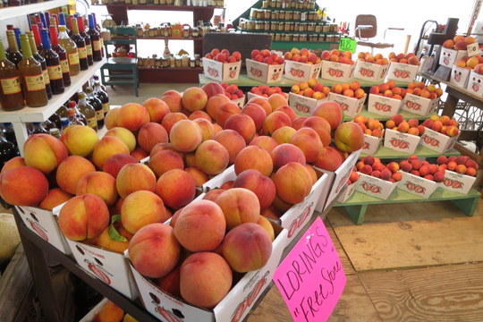 Peach display at Efurd Orchards