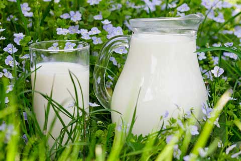National Dairy Month