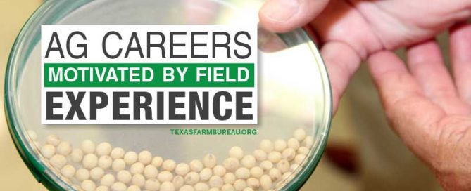 motivation for ag careers can come from field experience