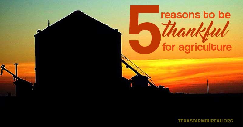 5 reasons to be thankful for agriculture