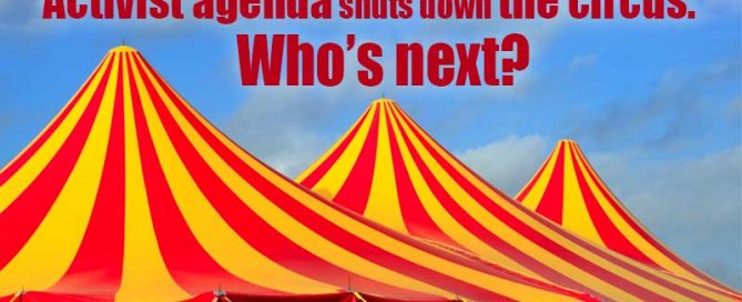 Animal rights activists shut down the circus. Who's next?