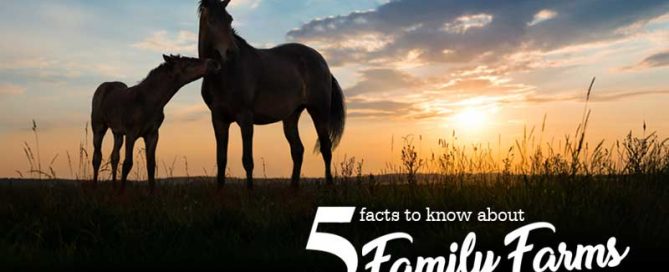 5 family farm facts to know