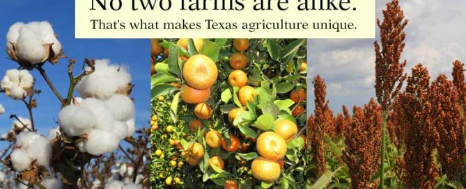 No two farmers are alike