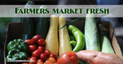 farmers market fresh