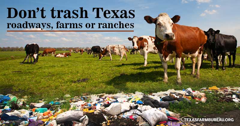don't trash texas
