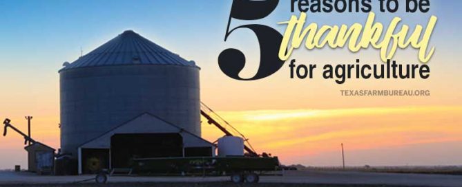 thankful for agriculture_thanksgiving