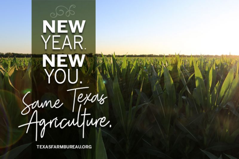 New Year. New You. Same Ag.