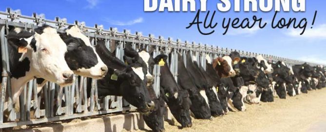 Dairy strong. All year long!