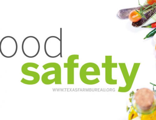 Is your food safe?