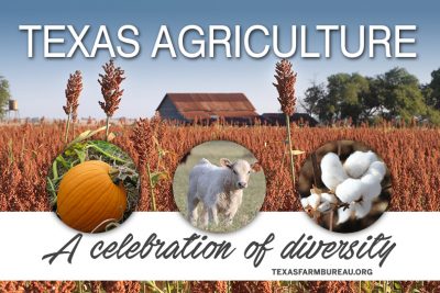 Texas agriculture is diverse