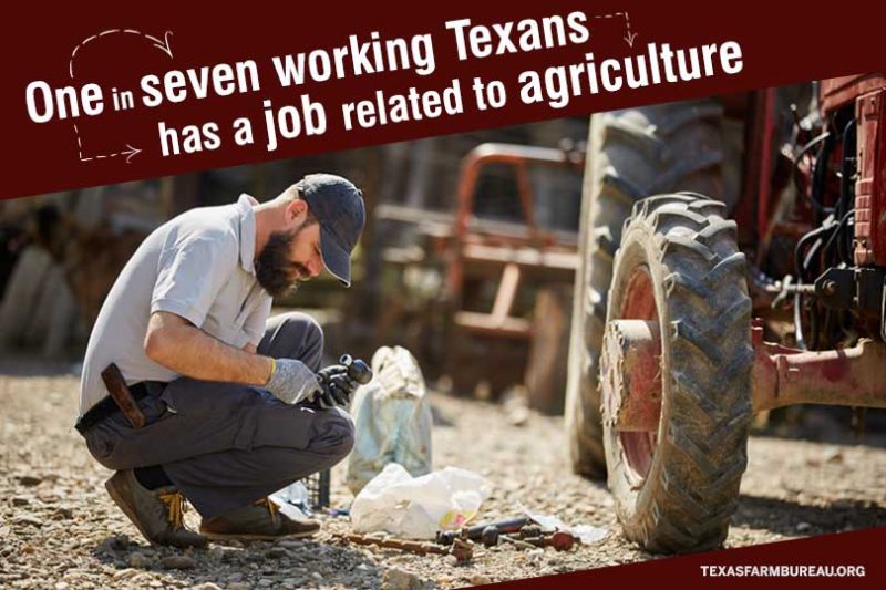 Agriculture is for all Texans