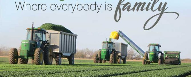 everybody is family in agriculture