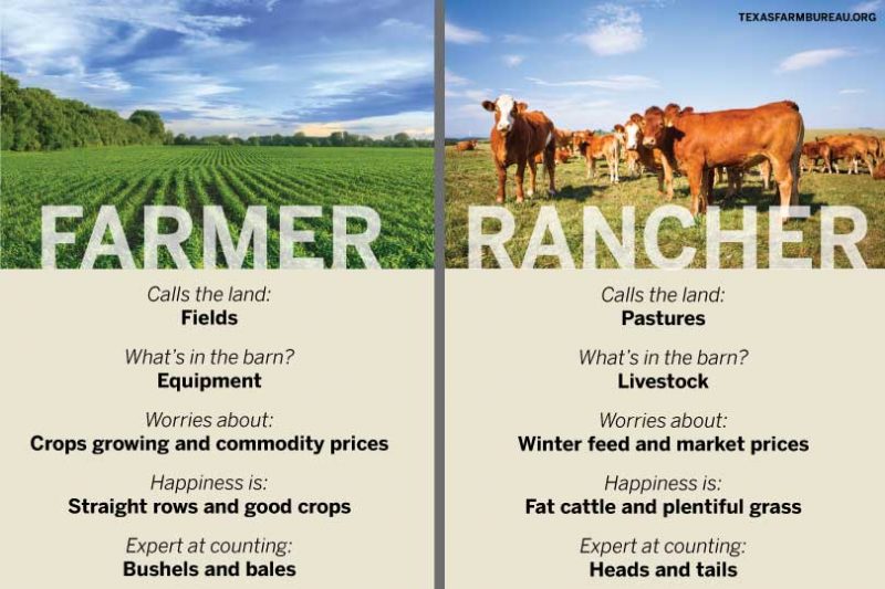 differences between farmers and ranchers