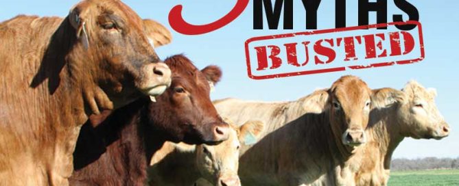 beef nutrition myths