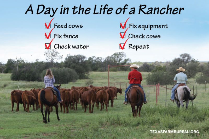 how to be a rancher