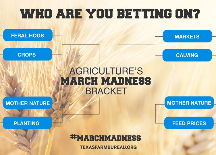 march madness_agriculture's bracket