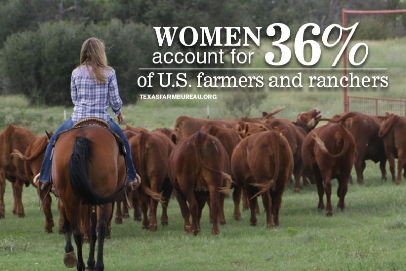 Women in agriculture. More young farmers and ranchers. They’re growing trends that will play a critical role in agriculture’s future, Justin Walker says on Texas Table Top.