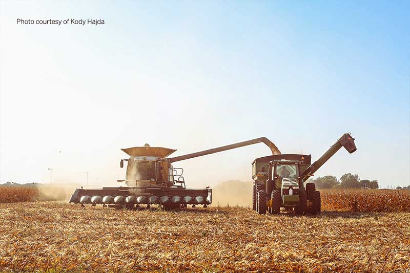Harvest season is full of long hours and stress. Kody Hajda shares her view of harvest on Texas Table Top.