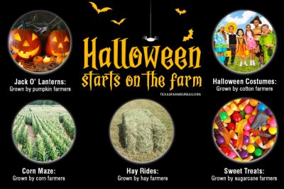 From pumpkins to sweet treats and costumes to hay rides, Halloween festivities get their start on Texas farms and ranches.