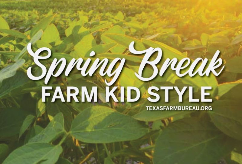 Spring break offers farm kids a chance to get dirty, have fun, help with chores and explore the outdoors! Julie Tomascik has more on Texas Table Top.
