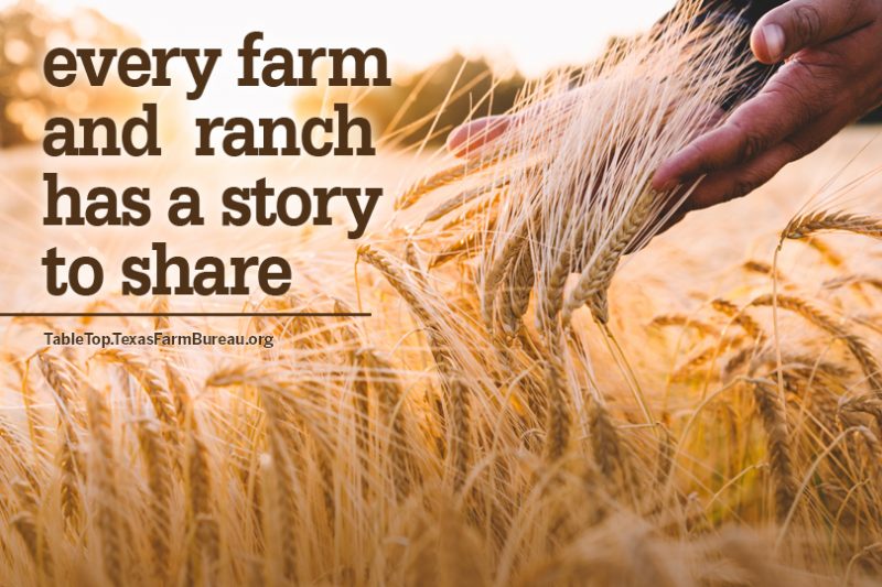 Why do we advocate for agriculture? Texas Farm Bureau Table Top
