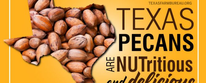 Texas pecans are NUTritious and delicious
