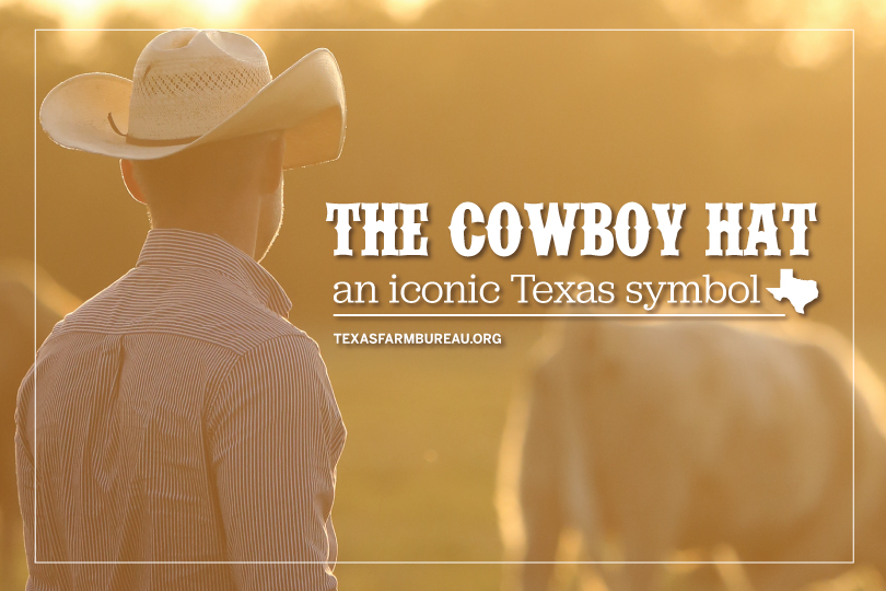 Cowboy texas
