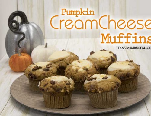 Pumpkin cream cheese muffins