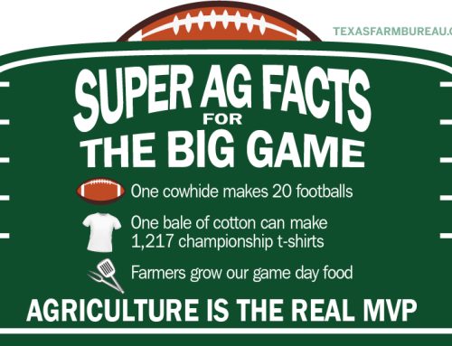Agriculture scores a touchdown at the Super Bowl