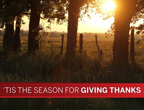 Giving thanks beyond the table